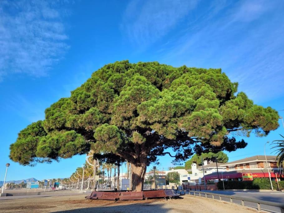Апартаменти Cambrils Dulces Suenos Екстер'єр фото